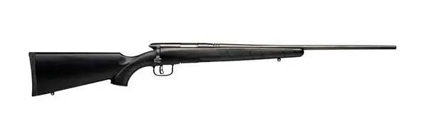 Buy Savage BMag 96901 17 WSM Bolt Action Rifle online