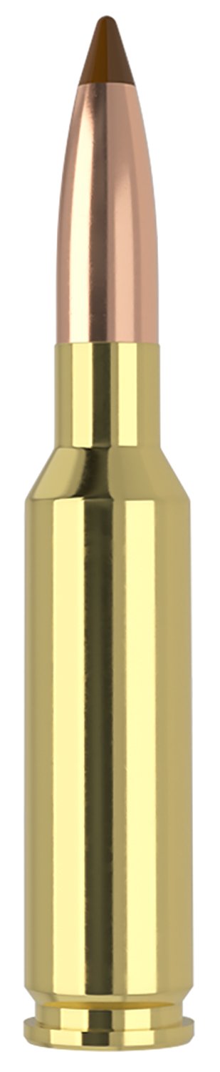 Nosler 61053 6.5x55 Swedish 140gr Ballistic Tip Ammo 20 Rounds - Nosler - 6.5x55 Swedish