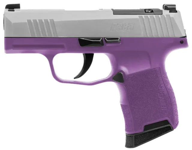 Buy SIG SAUER 365-9-TXR3-PR P365 9mm 3.1" Stainless Steel Semi-Auto Pistol online
