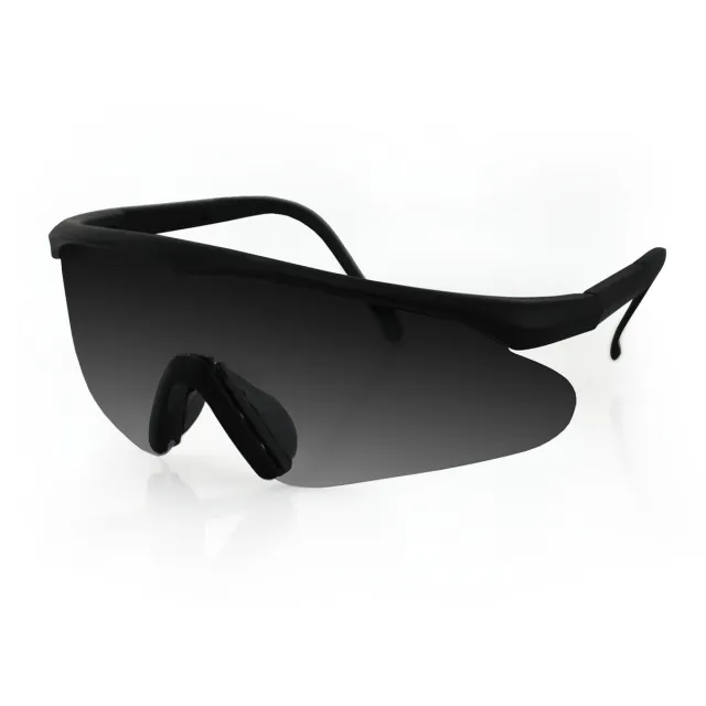 Bobster ESB Anti-Fog Goggles UV400 Smoke Lens Polarized