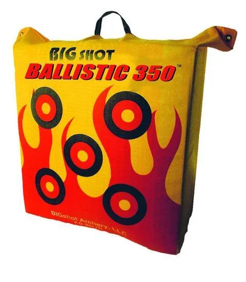 Big Shot 101 Ballistic 350 Bag Target, 24"x24", 350 FPS, HD Face, Weatherproof - BIGshot