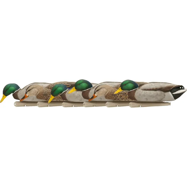 AvianX AVX8070 Top Flight Duck Decoys Backwater Mallards 6-Pack - Avian-X