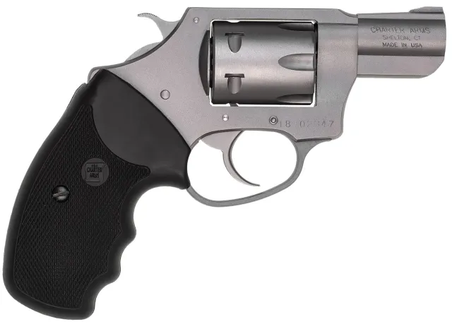 Charter Arms 72324 .22 Winchester Magnum 2 In 6-Shot Stainless - Charter Arms - .22WMR