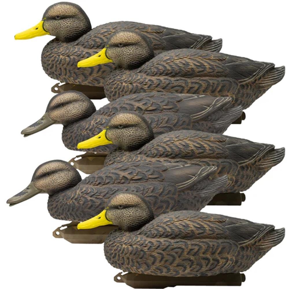 Higdon Outdoors Legacy Magnum Black Duck Decoys Foam-Filled 6ct - Higdon Outdoors