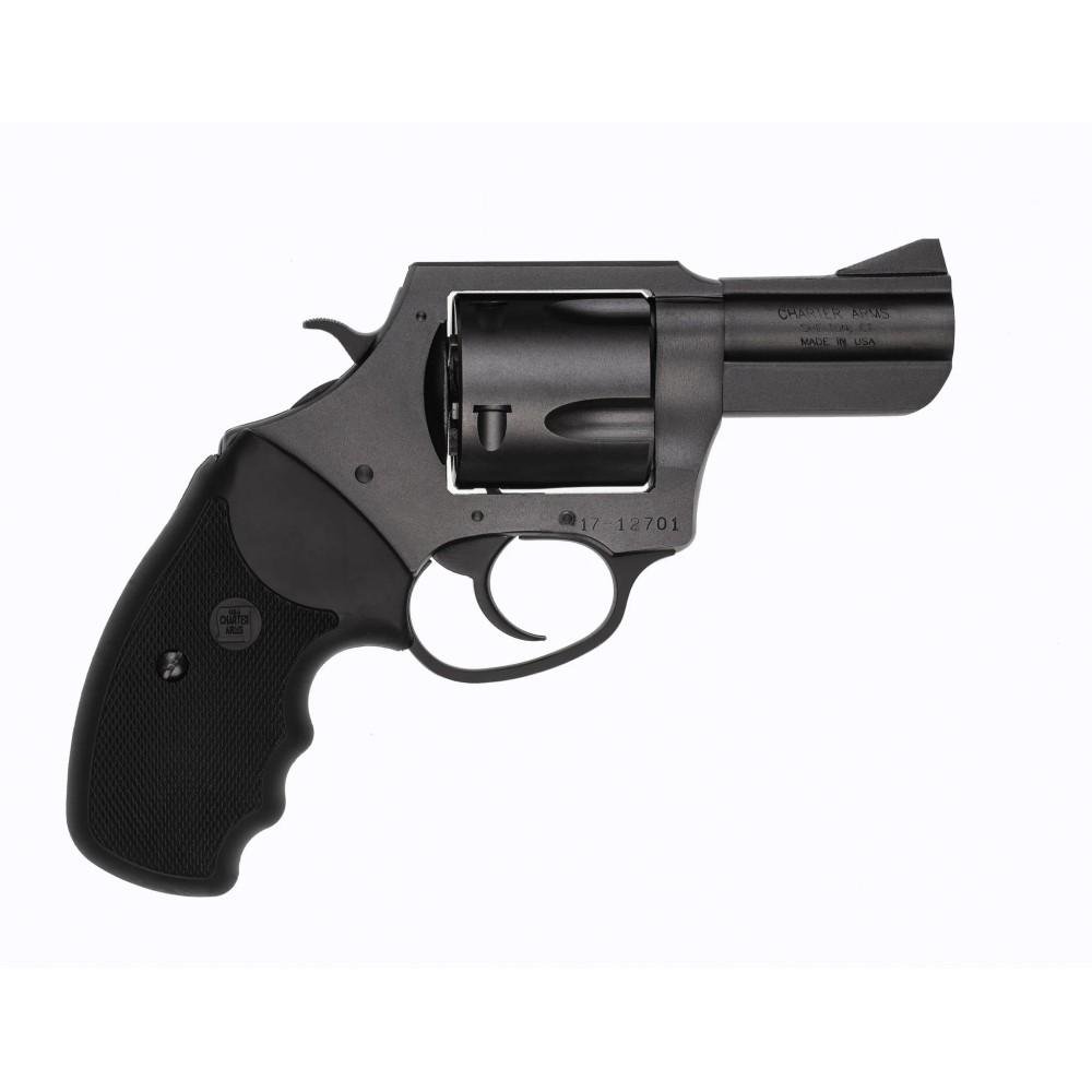 Charter Arms Pitbull 45 ACP - CHARTER ARMS - 45 ACP