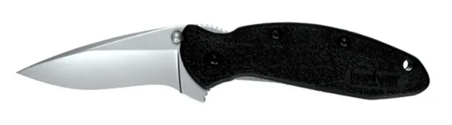 Buy Kershaw 1620 Scallion Assisted 2.4 In 420HC Drop Point Knife online