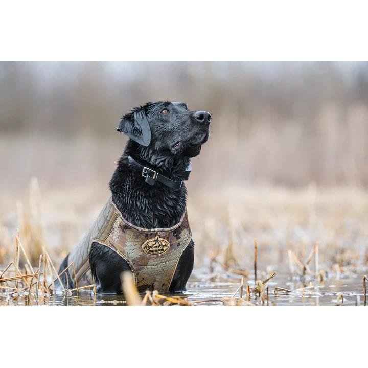 Buy Rig Em Right Bloodline Elite Dog Vest Optifade Tim online