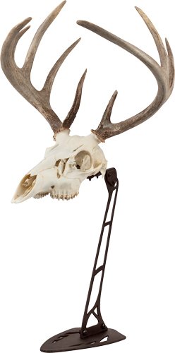 Allen 7226 EZ Mount Centerpiece Skull Stand Brown - Allen Company