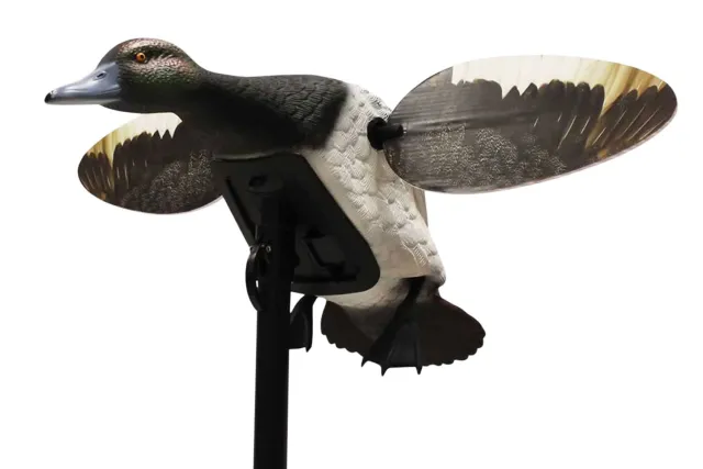 Mojo Outdoors HW2493 Elite Series Diver Bluebill Duck Decoy Multi-Color - Mojo Outdoors