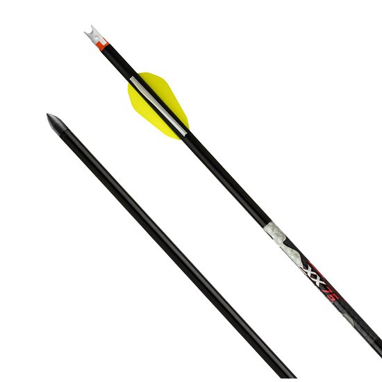 TenPoint HEA0606 Alpha Nock Arrows 20" Aluminum 6pk .003 Straightness - WICK
