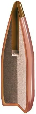 Hornady 22000 .204 Cal 24 gr NTX 100 ct - Hornady - 20 CALIBER