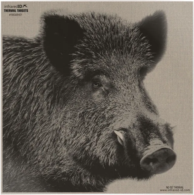 INFRARED-ID RBOARHD1 Thermal Boar Head Target - INFRARED-ID