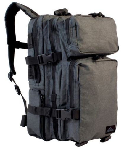 Buy Red Rock Gear 86-003CHR Tactical Urban Assault Pack online