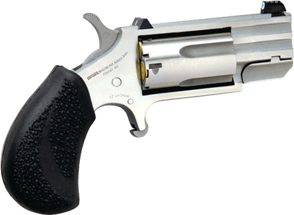 Buy NAA Pug 22 Magnum NAAPUGT online