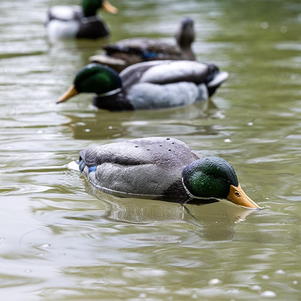 Buy Avian-X Tip Up Mallard Decoy Realistic Feeding Motion Patent-Pending Design online