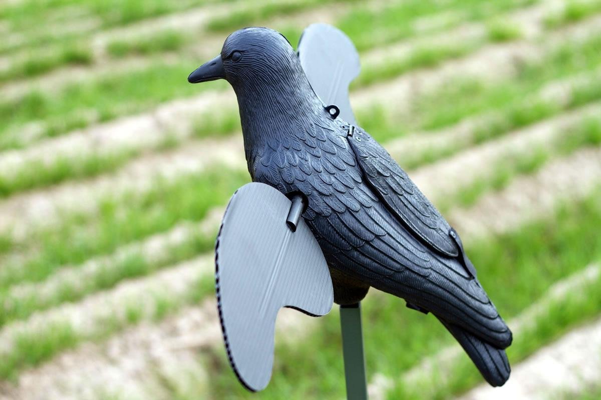 Buy Mojo Outdoors Crow Spinning Wing Decoy W/ Built IN On/Off Times HW2402 online