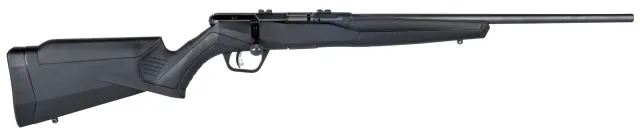 Buy Savage Arms B22 FV 22 LR online