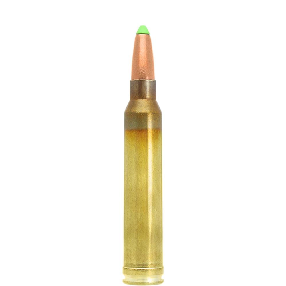 Lapua N317204 .300 Win Mag 170gr Naturalis Solid Rifle Ammo 10ct - Lapua - 300 Win Mag