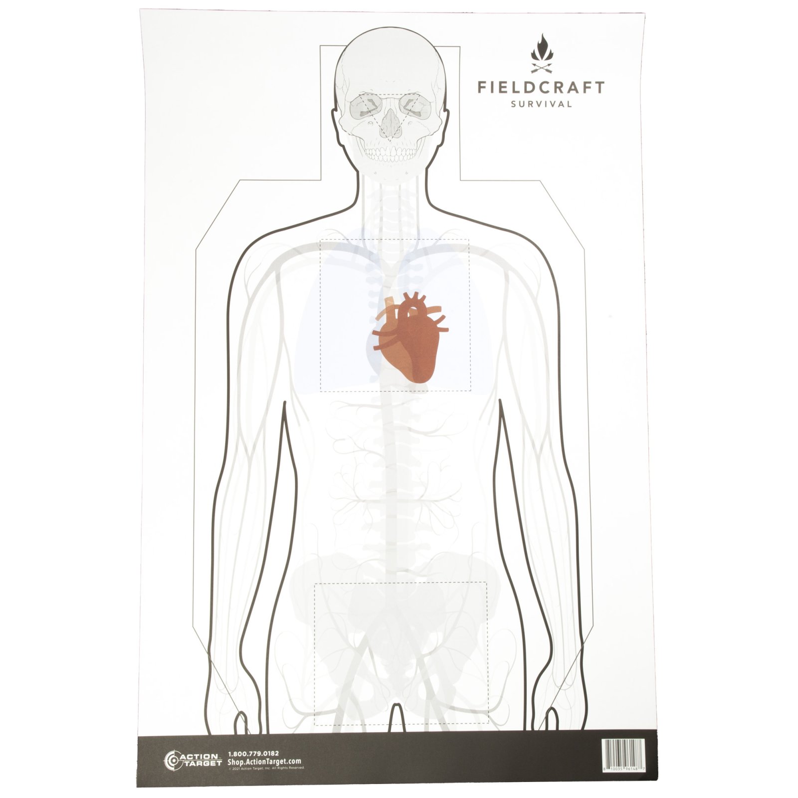 Action Target FLDC-P-100 Double-Sided 23x35 Target 100-Pack - Action Target