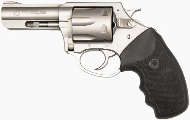 CA PIT BULL 380ACP 3 FS SS 6RD SHOOTER - Charter Arms