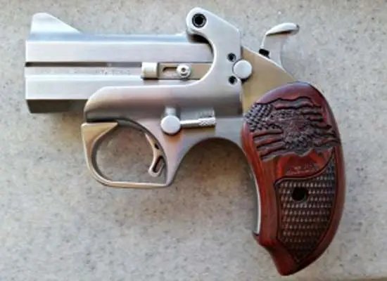 Buy Bond Arms Patriot45 .45 Colt/.410 Bore 3.00 In 2-Round Stainless online