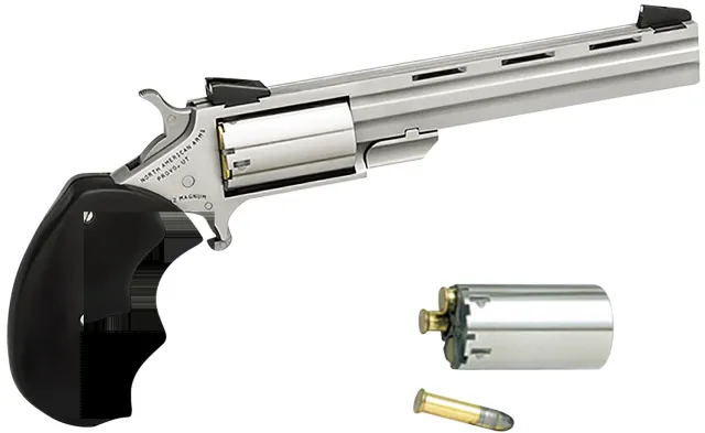 NAA Mini-Master 22 LR/22 Magnum 4 In 5rd Stainless Steel