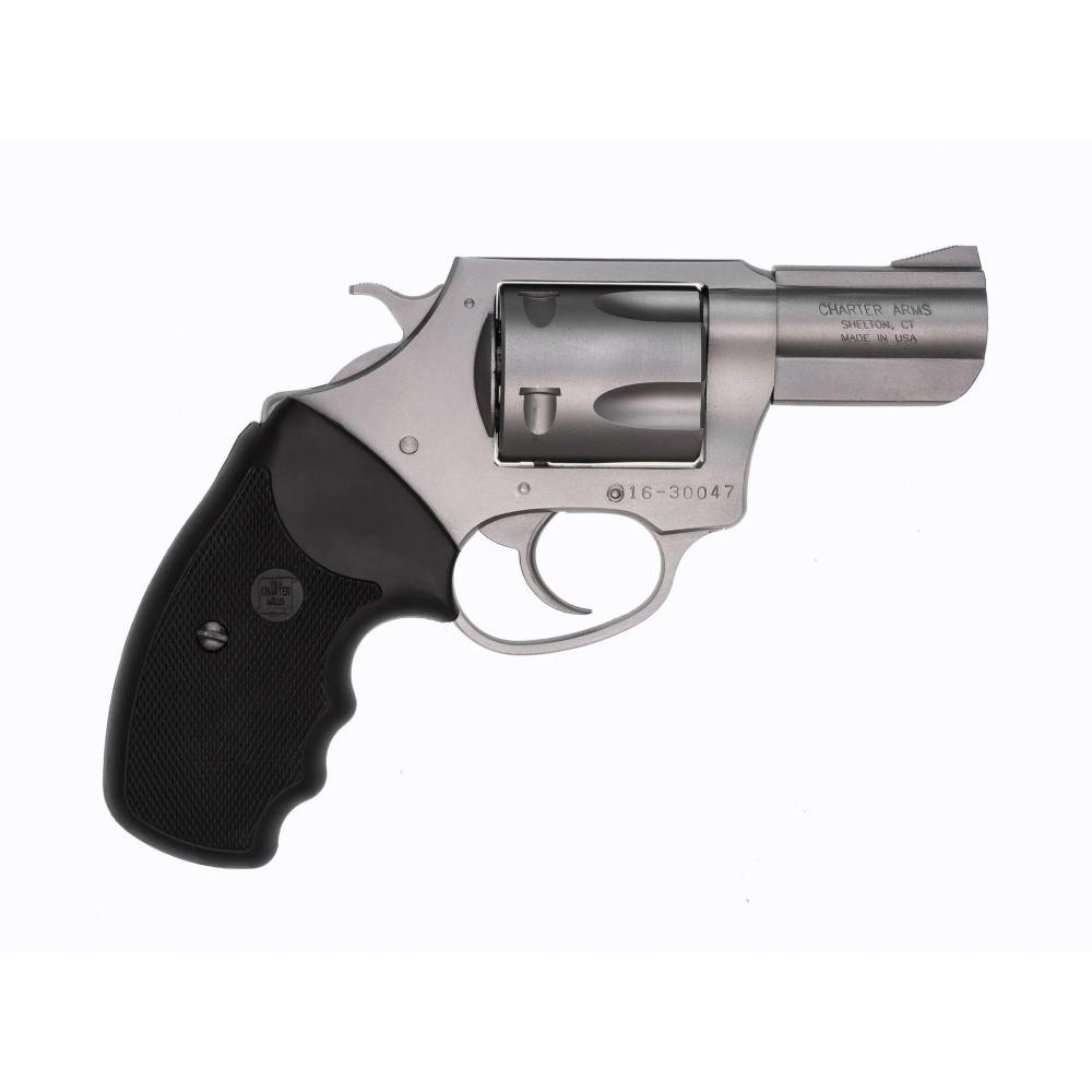 Charter Arms Pitbull 74020 .40 S&W 2.3 in Matte Stainless 5 Shot SA/DA - CHARTER ARMS - 40 S&W