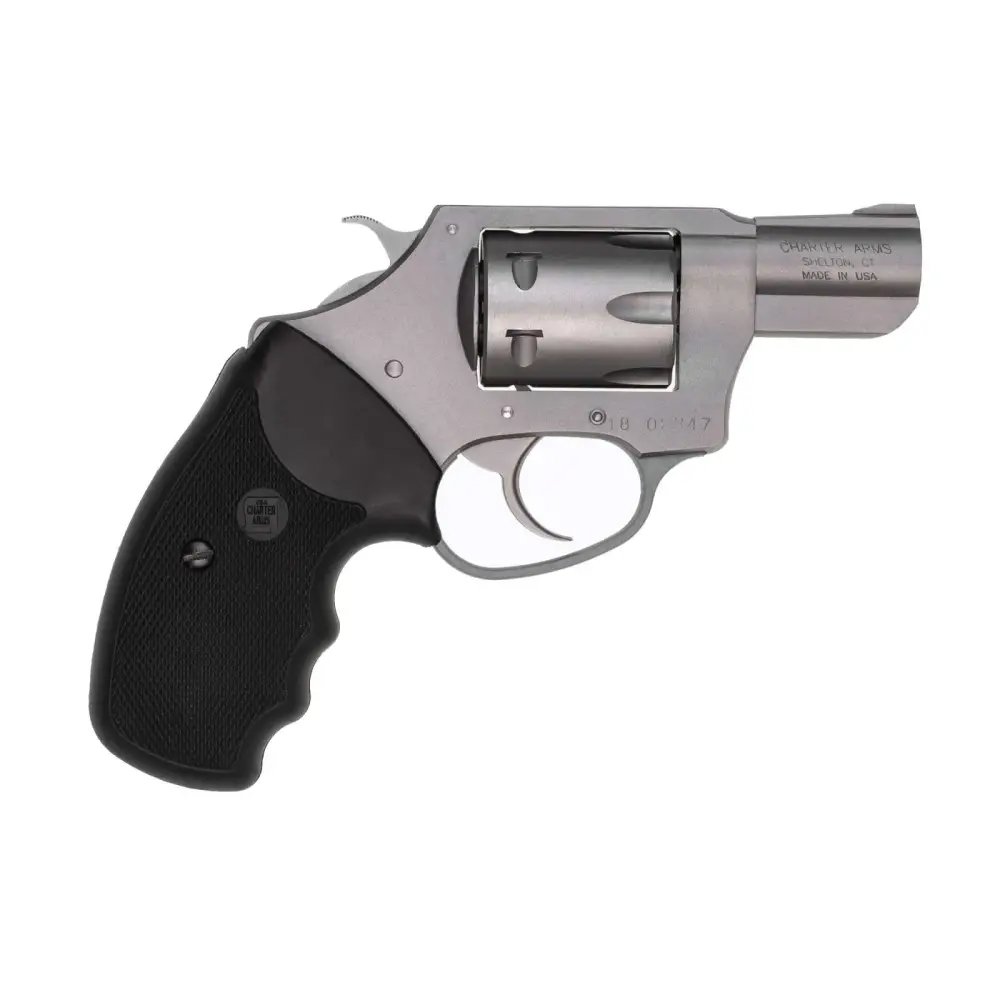 Charter Arms Revolver Pathfinder 22 Magnum 2" Barrel Stainless Steel - CHARTER ARMS - 22 Magnum