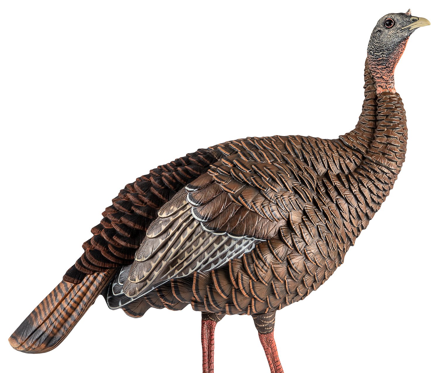 Avian-X Heavy-Duty Realism HDR Turkey Decoy Blow-Molded AVXAVX8106 - Avian-X