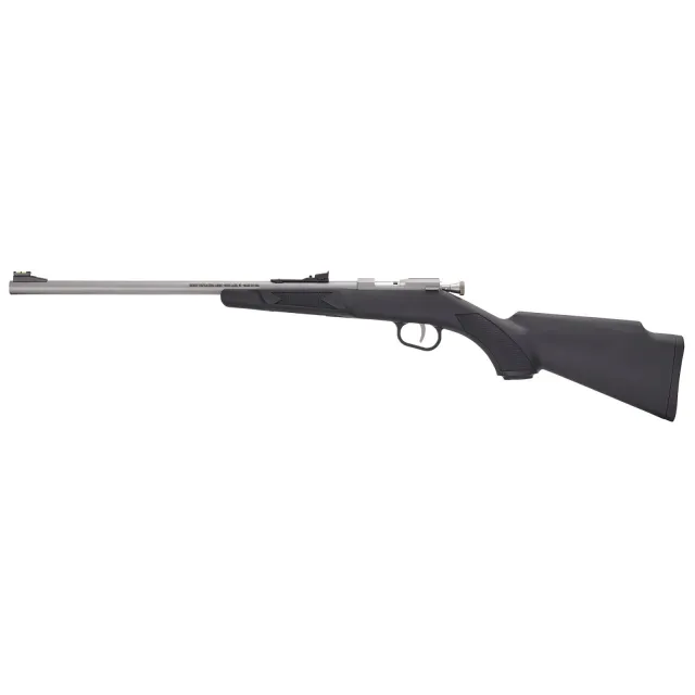 Henry H005R Mini Bolt Youth 22 S/L/LR 1rd 16.25" Matte Stainless Steel - Henry Repeating Arms - 22 LR