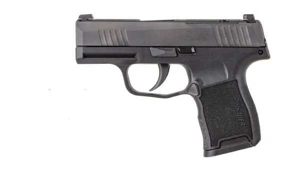 Sig Sauer P365 .380 ACP 3.1" 10-Round Striker Polymer Night Sights