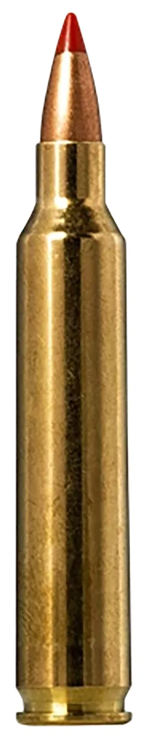 Norma Ammunition 20156502 Tipstrike 204Ruger 40gr V-Max 20 Per Box/10 Case