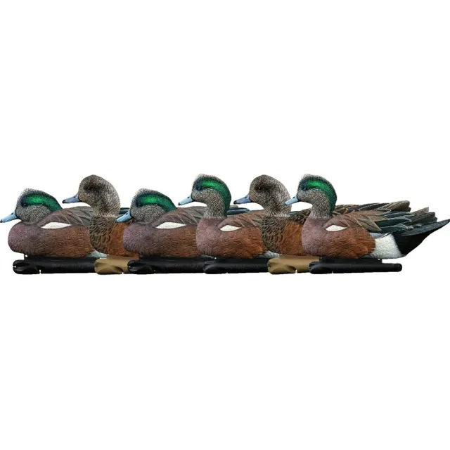 AvianX AVX8084 Top Flight Wigeon Duck Decoys 6-Pack - Avian-X