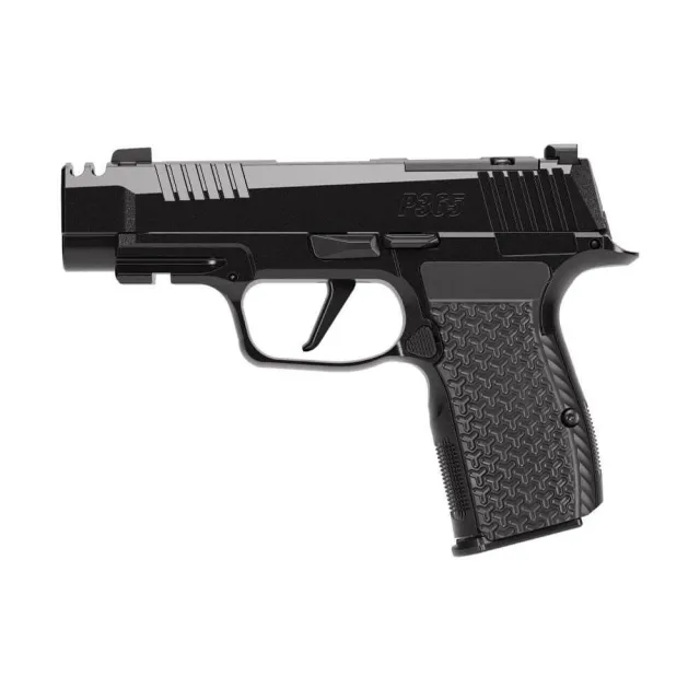 Sig Sauer P365 LUXE AXG Handgun .380 Auto 12rd Magazine(3) 3.1 Compensated Barrel Black Finish - View 2