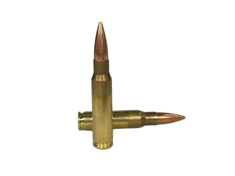 IGMAN 810091156261 7.62x51 M80 Ammunition, 560 Rounds - View 2