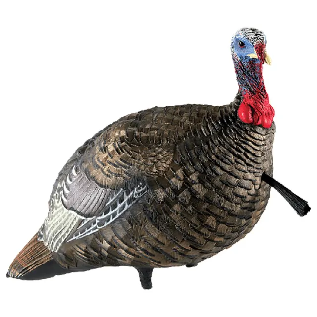 GSM Outdoors Avian X LCD Quarter-Strut Jake Decoy Lifelike - View 2