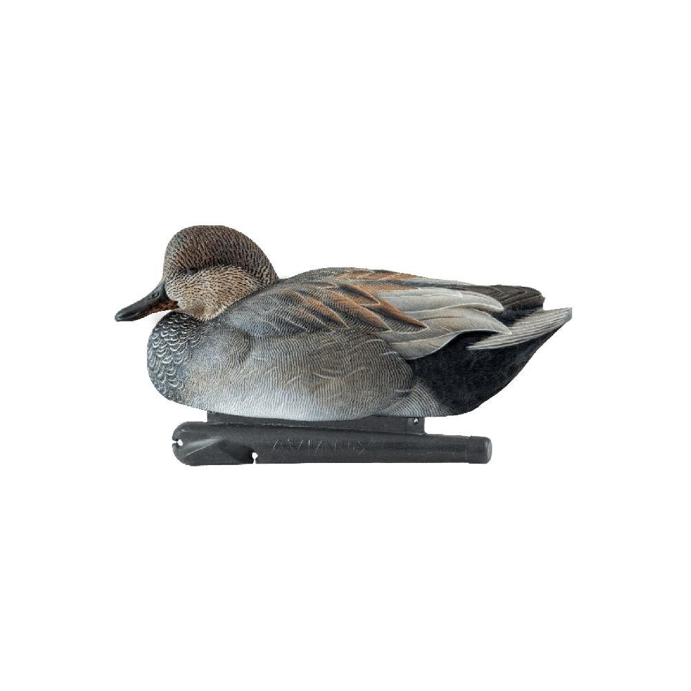 AvianX AVX8085 Top Flight Duck Decoys Gadwall 6-Pack, Realistic Design - View 2