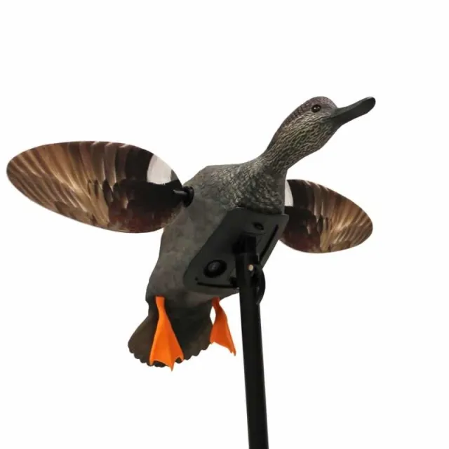 Mojo Outdoors HW24733P Elite Series Gadwall Multi-Color Decoy - View 2