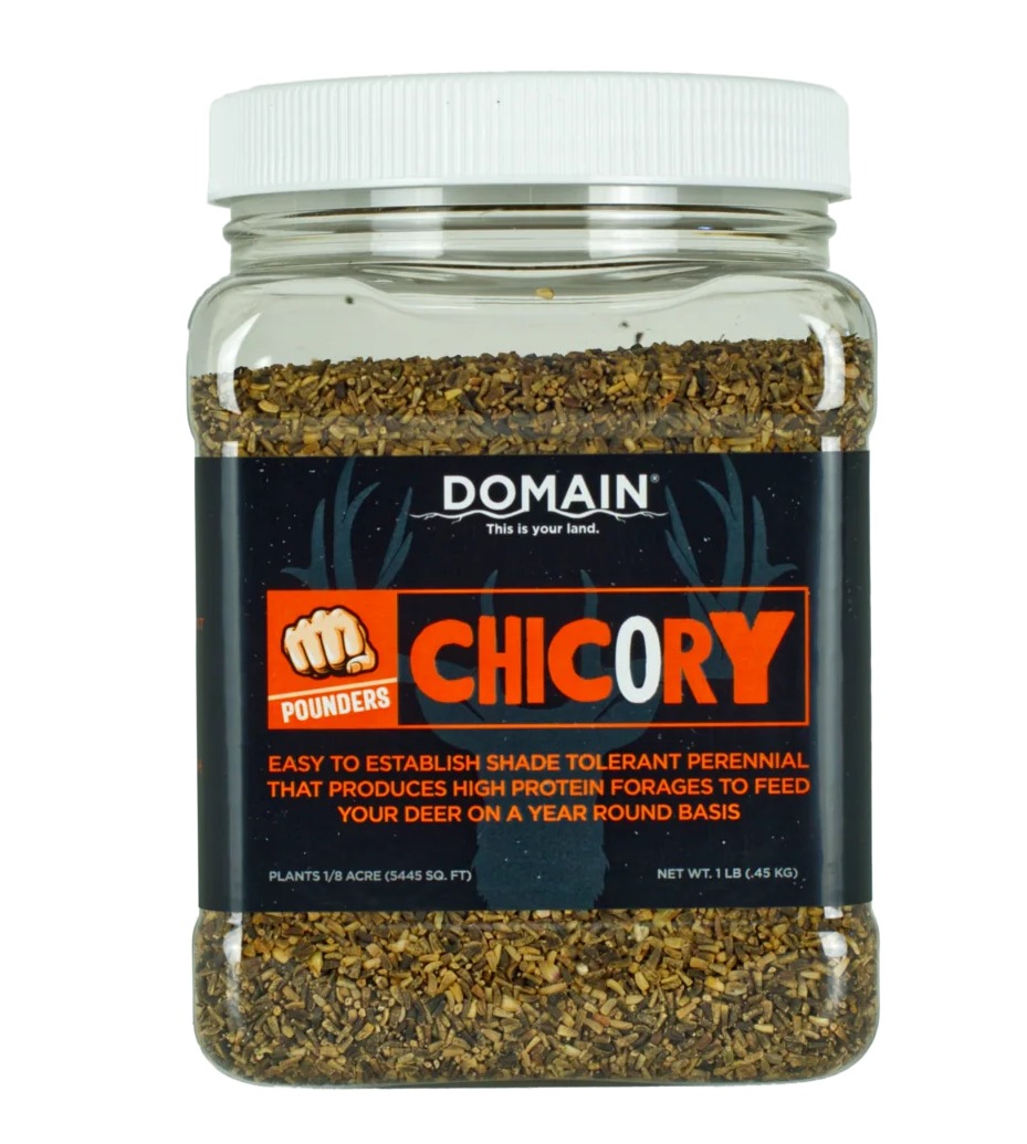 Domain DCS1LB Chicory Seed 1 lb, Drought-Resistant, High Protein, Perennial - View 2