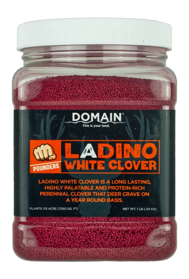 Domain DLWCS1LB Ladino White Clover Seed 1 lb, Perennial, Drought-Resistant - View 2