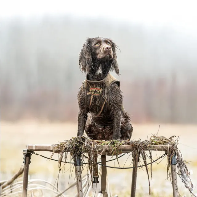 Rig'Em Right Swamp Bully Dog 165-S - View 2