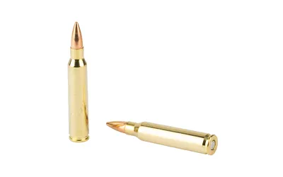 STV Technology Scorpio 223 Remington 55 Gr FMJ 20rd Box - View 5