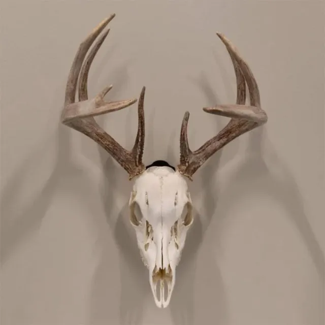 Allen EZ Mount Skull Peg Hook Black - View 2