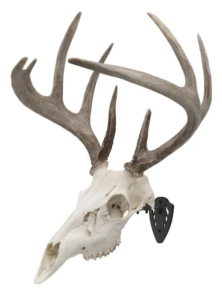 Allen Company 7227 EZ Mount Skull Hanger Black Steel Wall Mount - View 2