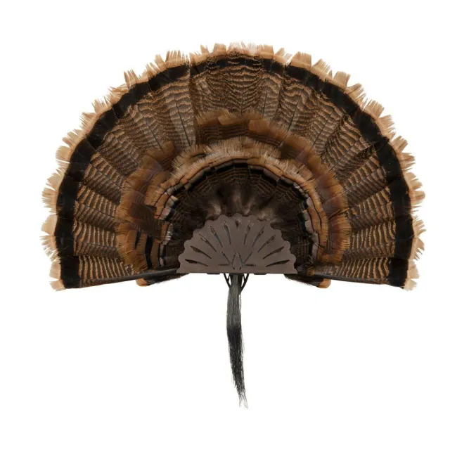 Allen Company EZ Mount Turkey Fan Display Brown 7238 Showpiece - View 2