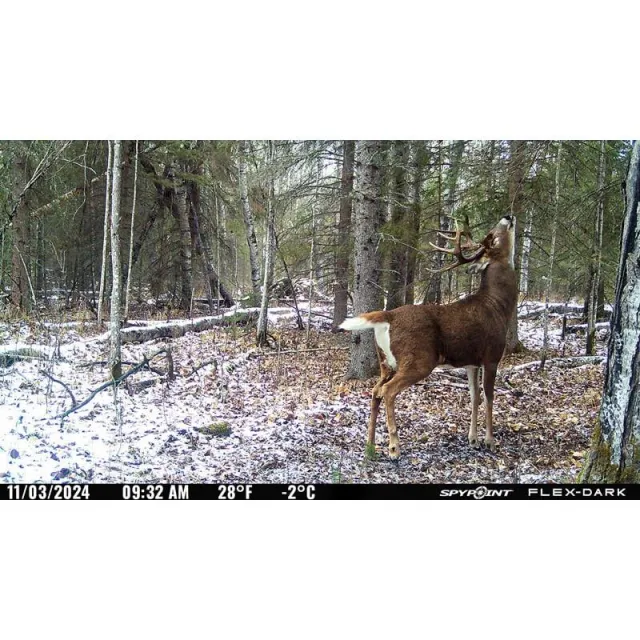 SPYPOINT Flex-Dark Model 01816 MPN 01816 Cellular Trail Camera - View 2