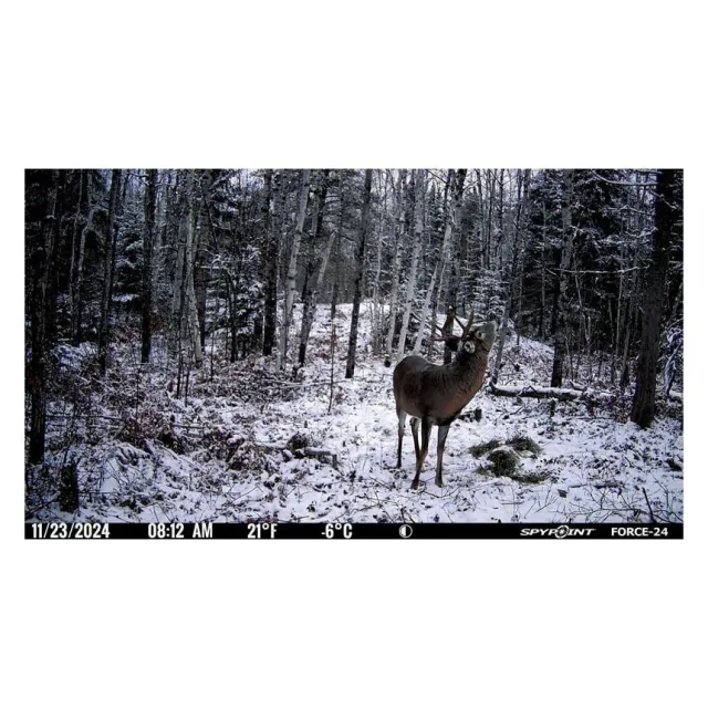 SPYPOINT 01839 FORCE-24 Trail Camera 24MP 0.7s Trigger Speed - View 2