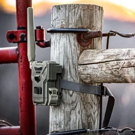 SPYPOINT FLEX-M 01840 Twin Pack - Dual Cellular Trail Cameras - View 2