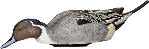 Avian-X Power Shaker Pintail Duck Decoy Multi-Color Life-Size - View 2