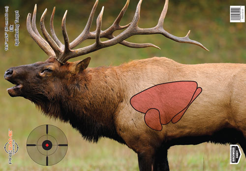 Birchwood Casey Pregame Elk Target 16.5" x 24" 3 Pack 35404 - View 2